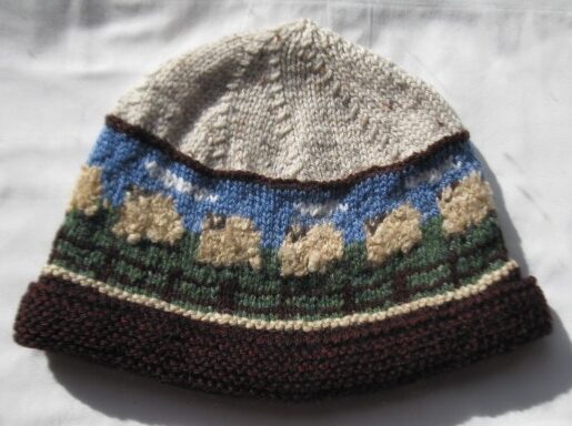 Hat - Adult 22827
